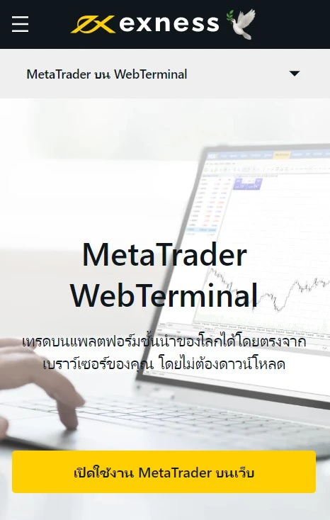 Exness MetaTrader WebTerminal