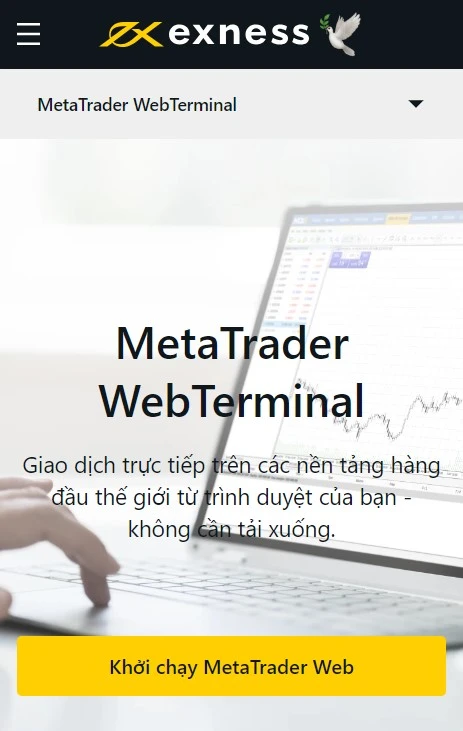Thiết bị đầu cuối web MetaTrader của Exness.