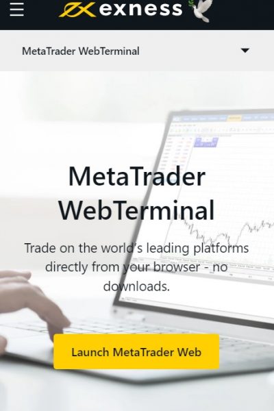 Using the Web Terminal